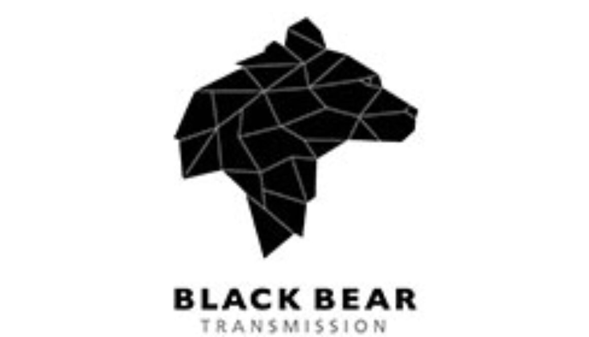 Black Bear Transmission